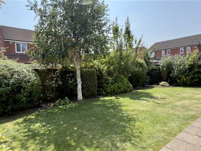Picture 29